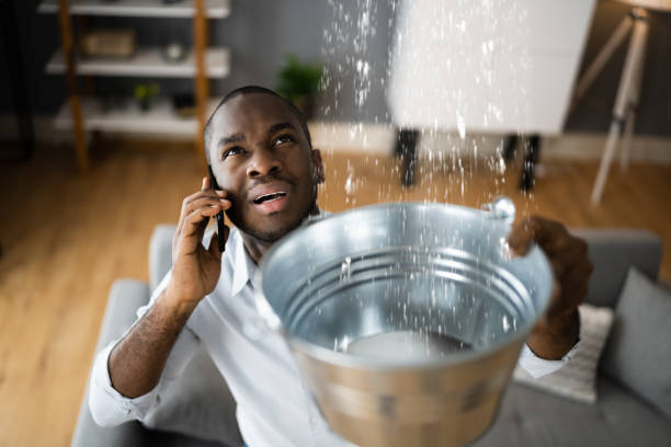 Best Sewage cleanup and water damage restoration  in Delshire, OH