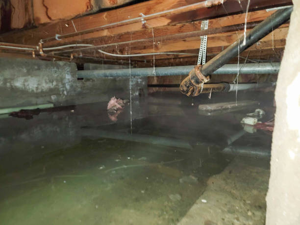 Reliable Delshire, OH Water damage restoration Solutions