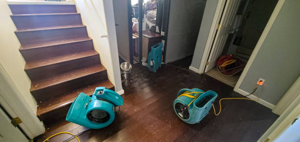 Local water damage restoration in Delshire, OH