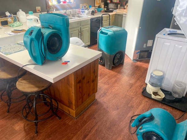 Best 24-hour water damage restoration  in Delshire, OH