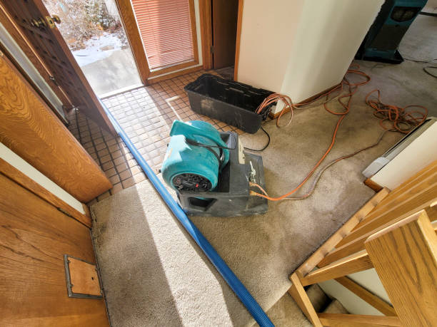 Best Residential water damage restoration  in Delshire, OH