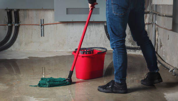 Best Water damage restoration cost  in Delshire, OH