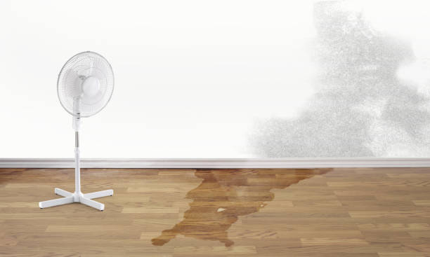 Water damage restoration insurance claims in Delshire, OH