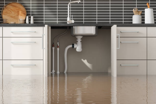 Reliable Delshire, OH Water damage restoration Solutions