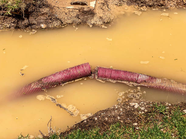 Best Residential water damage restoration  in Delshire, OH